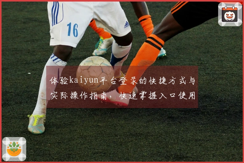 体验kaiyun平台登录的快捷方式与实际操作指南，快速掌握入口使用方法与新手须知
