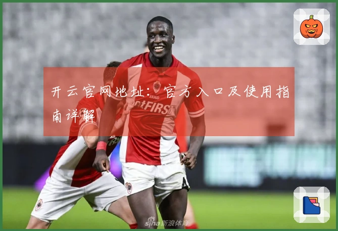 开云官网地址：官方入口及使用指南详解